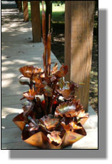 Five tiered copper waterfall with two irises